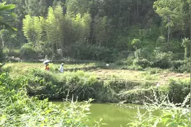 乡村振兴剧场《遇见好人》剧情简介⑧图片