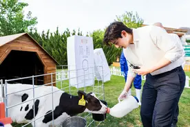邓伦走进君乐宝优致牧场 酸奶市场逐年增加新生代成消费主体图片