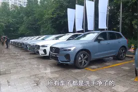 什么颜色的车最耐脏？喵哥现场是拍给你看图片