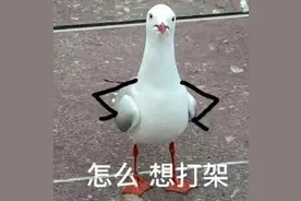 外伤性鼓膜穿孔伤情鉴定处理流程及要点图片