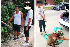 注意了，捕猎、销售野猪是违法犯罪行为！玉山两村民以身试法被查处图片