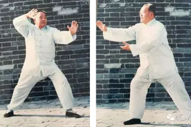 杨振基宗师谈如何学拳练拳教拳图片