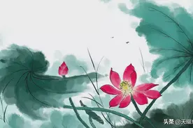 缘说：修行成莲花淡淡的女人图片