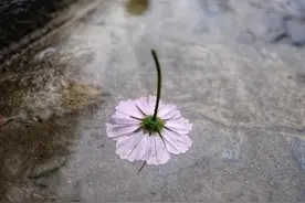女人不爱你，只想玩你，会有这三个明显的表现图片