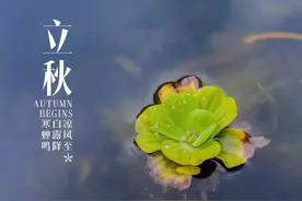 立秋将至，云淡风轻，几首秋日小诗，感受初秋时节的美好图片