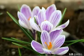 离婚一年后，前岳母找上门说小舅子缺套房子结婚，男人：关我何事图片