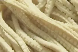 豆腐丝应该怎么保存？为什么豆腐丝放进冰箱里一夜就变质？视频封面