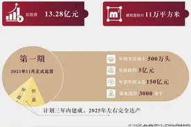 给力！临泉乡村振兴“新引擎”图片