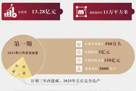 给力！临泉乡村振兴“新引擎”图片