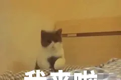 够特别！多图带你直击我市首批返校学子的“五一”生活图片