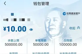 数字人民币钱包可开通了图片