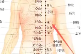 中医养生：图解魂门穴位位置和具体按摩手法，作用与好处记得收藏视频封面