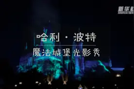 哈利·波特魔法城堡光影秀图片