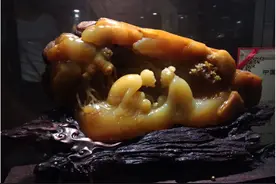 跌落神坛的石头图片