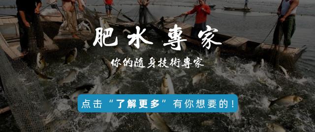 底质改良势在必行，刻不容缓