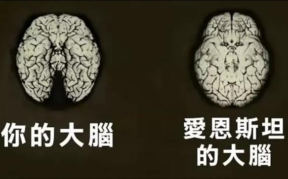 “天分”是什么？天才与生俱来就有天分吗，普通人能成为天才吗？