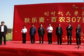 出身名门 “父母”优秀 自身卓越——秋乐麦.百农307横空出世图片