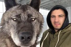 一个成年人能徒手打赢一只狼吗？如果手持铁棍，结果又是如何？图片