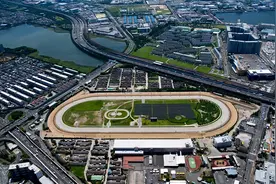 为什么赛马可以成为日本的二次元狂欢？图片