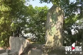 鹅岭公园上新！多了这些耍事图片