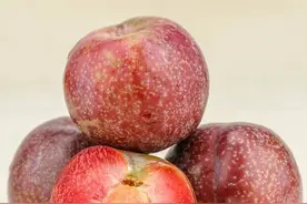 三华李子泡酒方法图片