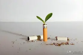 新观察：戒烟的人图片