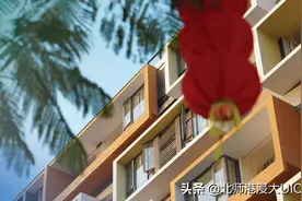 寒假留校，他们打算怎么过？图片