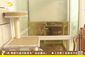 四层豪华别墅花15多万加装电梯，噪音却震耳欲聋，如同直升机！视频封面