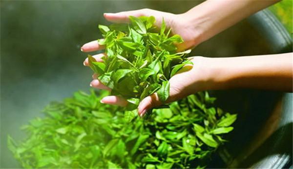 专业茶叶检测机构，可出具权威检测报告