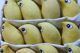 网友评选出“最难吃的水果”，你吃过几种？图片