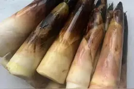 五花肉炒竹笋的做法，竹笋香辣入味脆甜可口，每次都是光盘图片