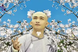 梨花院落溶溶月图片