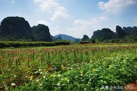 堵堵堵！假期第五天，峰林小镇之行一言难尽图片