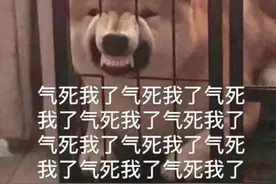 表情包:不打游戏了，打人图片