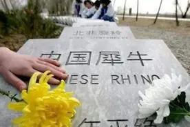 世界其实是一个“轮回”？灭绝多年动物再现！克隆也无法做到如此图片