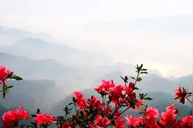 周代古国——英国，楚国东进的牺牲品，湖北英山跟它有关图片