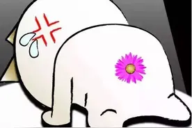 来都来了，做完肠镜，把痔疮也治了吧！图片