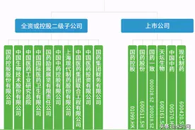 5000亿医药巨无霸现身！国药集团家底好惊人，6大上市公司亮眼图片