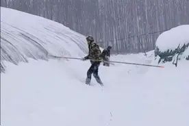 这次立冬北方地区普降暴雪，大棚蔬菜种植户，大棚倒塌，损失惨重图片