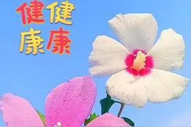 微信头像美图，开开心心每一天图片