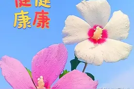 微信头像美图，开开心心每一天图片