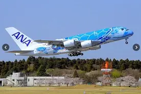 【津云国际】飞了！全日空“飞天海归”真应了那句：你咋不上天呢图片