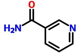 身体乳用凡士林好吗