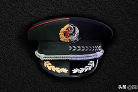 【从橄榄绿到警服蓝】图片