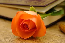 真正爱过你的男人，和你分手后，不会这样对待你图片