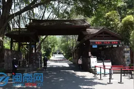 【航拍】春暖花开！泉州清源山、公园恢复开放！图片