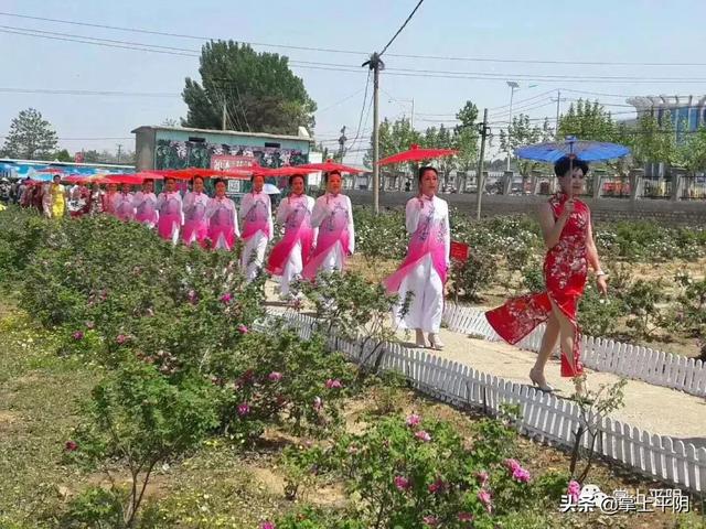 今天,平阴向全世界发出邀请!