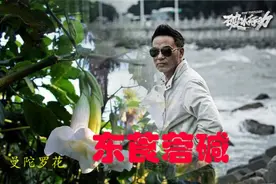 东莨菪碱你了解吗？图片