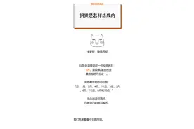 逆势上涨20%+，真香图片