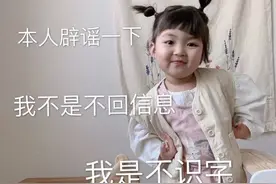 表情包：本人辟谣一下，我不是不回消息，我是不识字图片